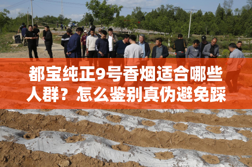 都宝纯正9号香烟适合哪些人群？怎么鉴别真伪避免踩坑？